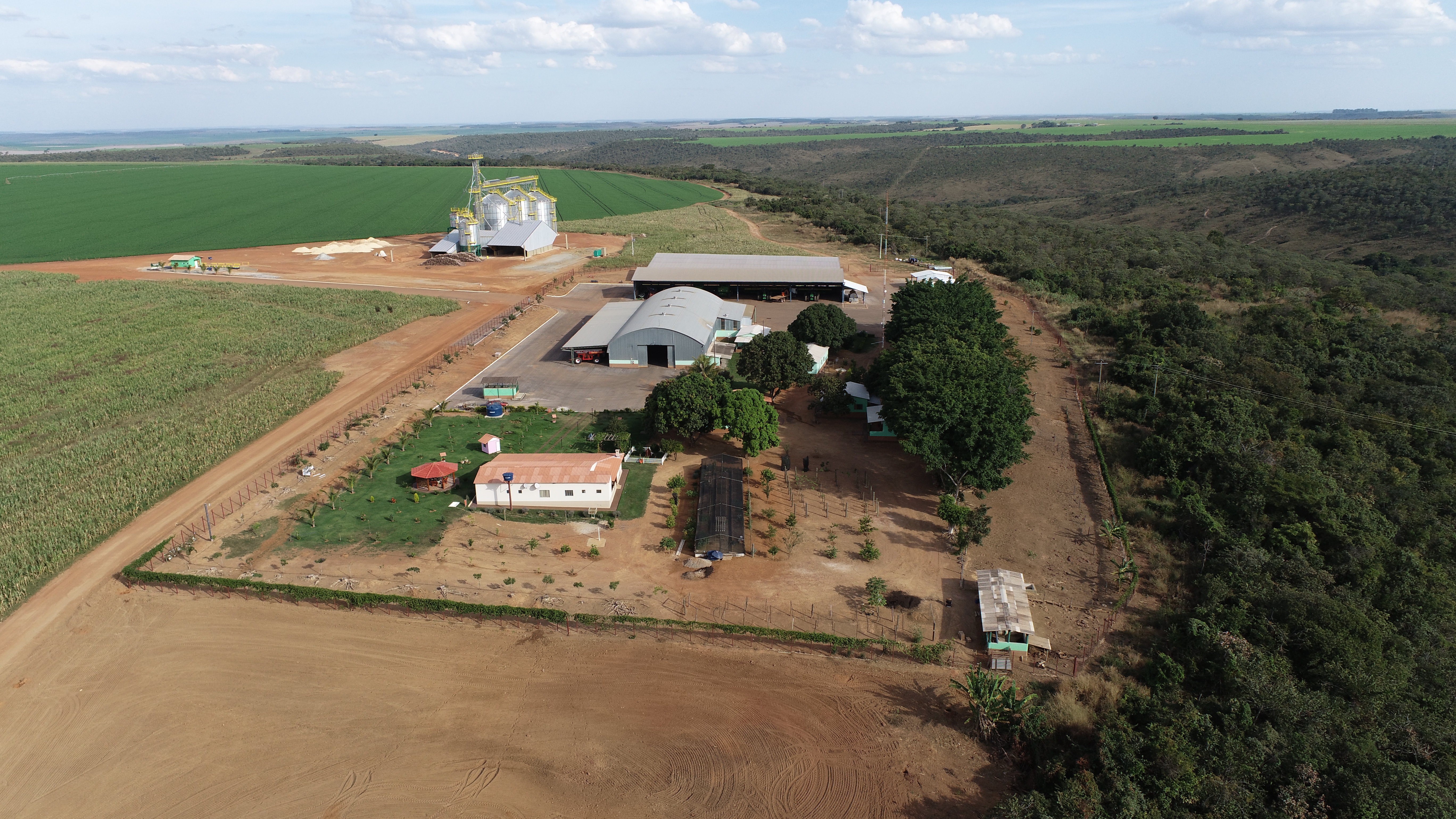 Plantação de trigo