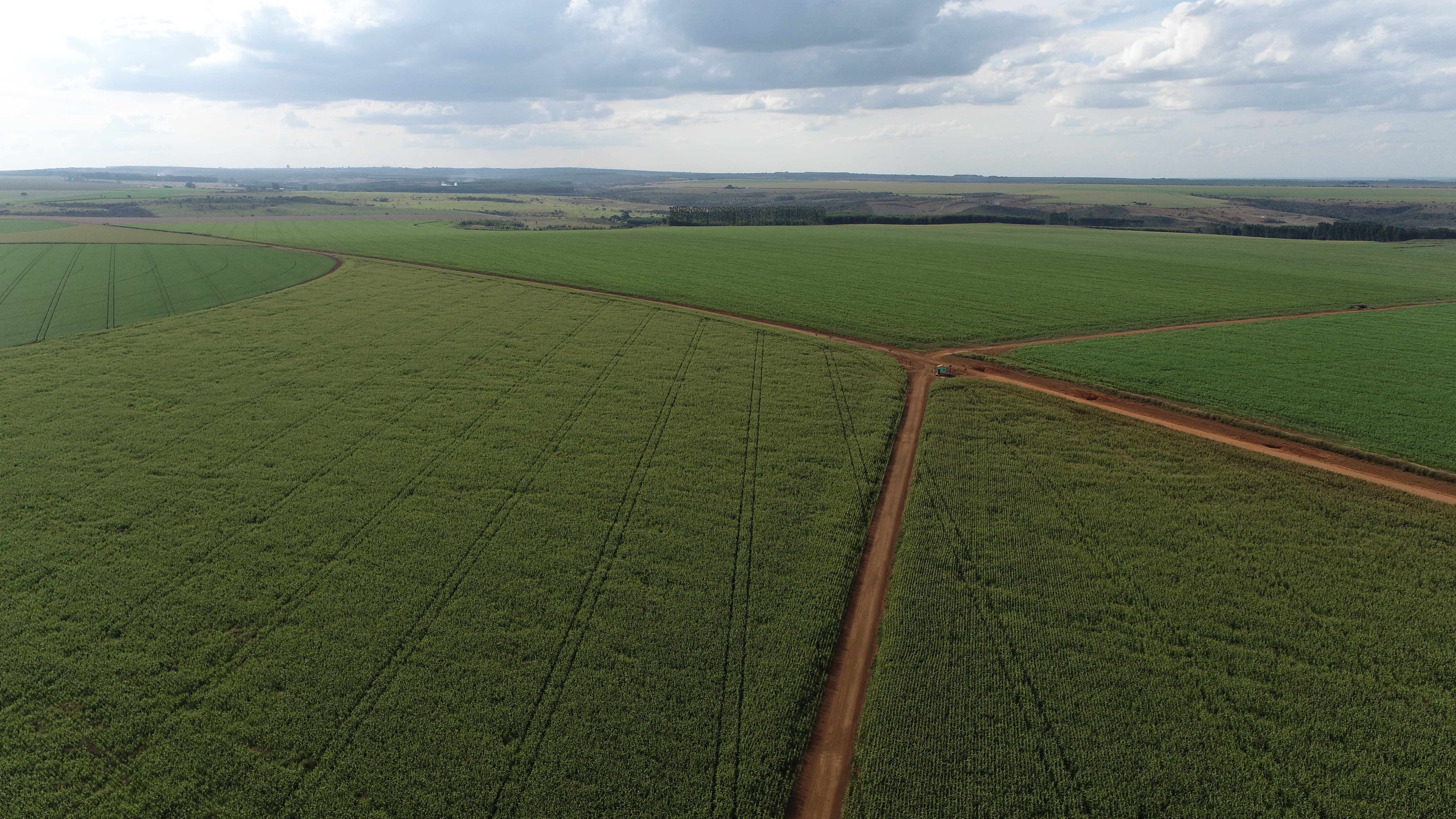 Plantações da Fazenda Vargeão em Cristalina/GO